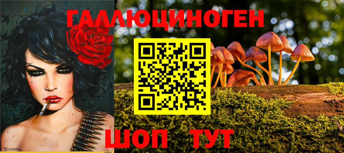 как найти закладки  Вход с VPN  Кандалакша  Галлюциногенные грибы Cubensis 